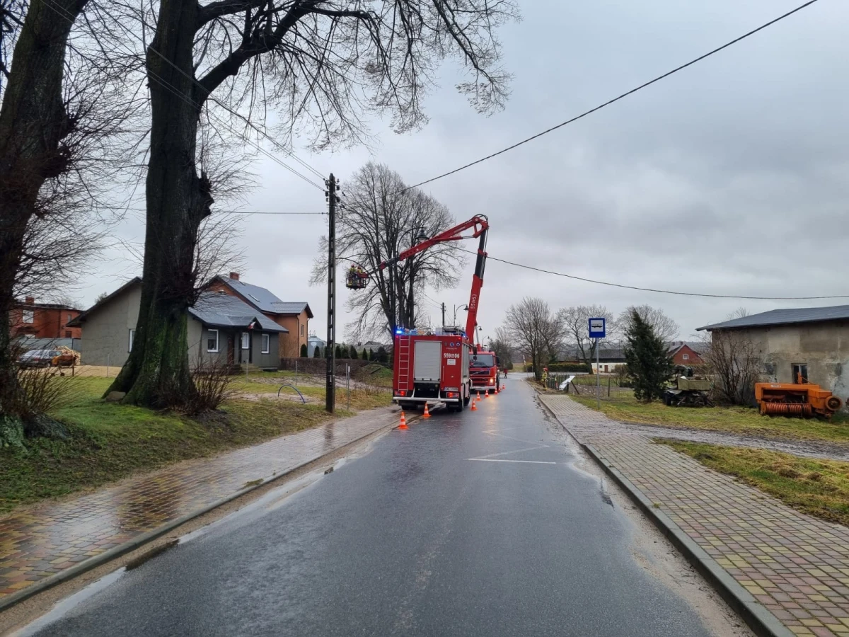Zdjęcie