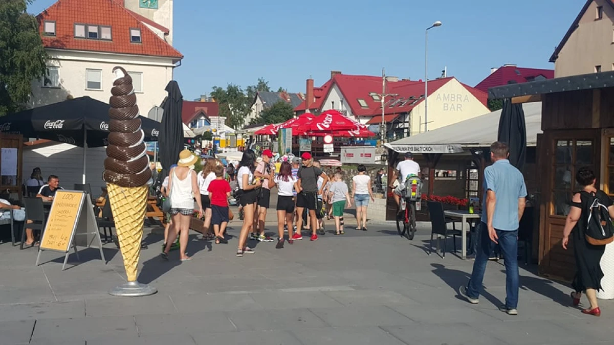 Zdjęcie