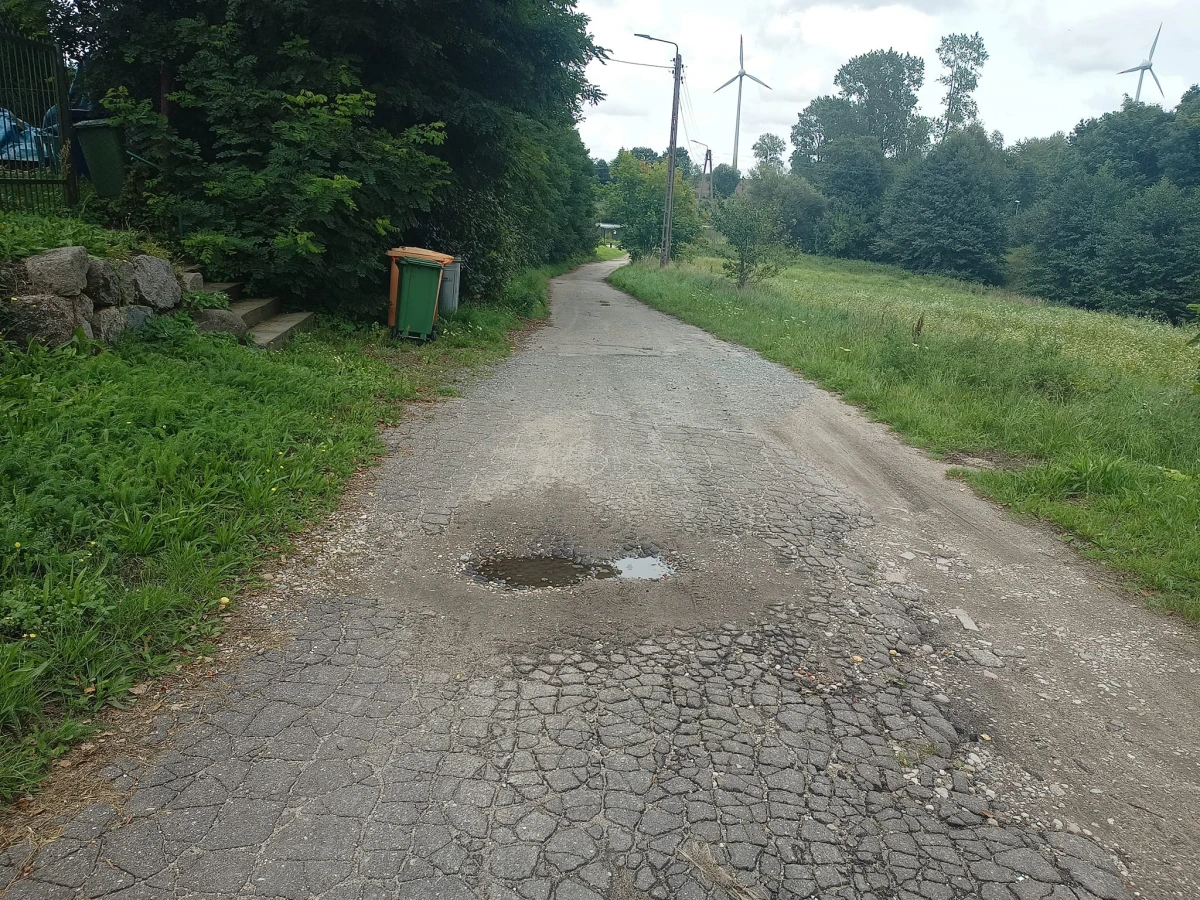 Zdjęcie