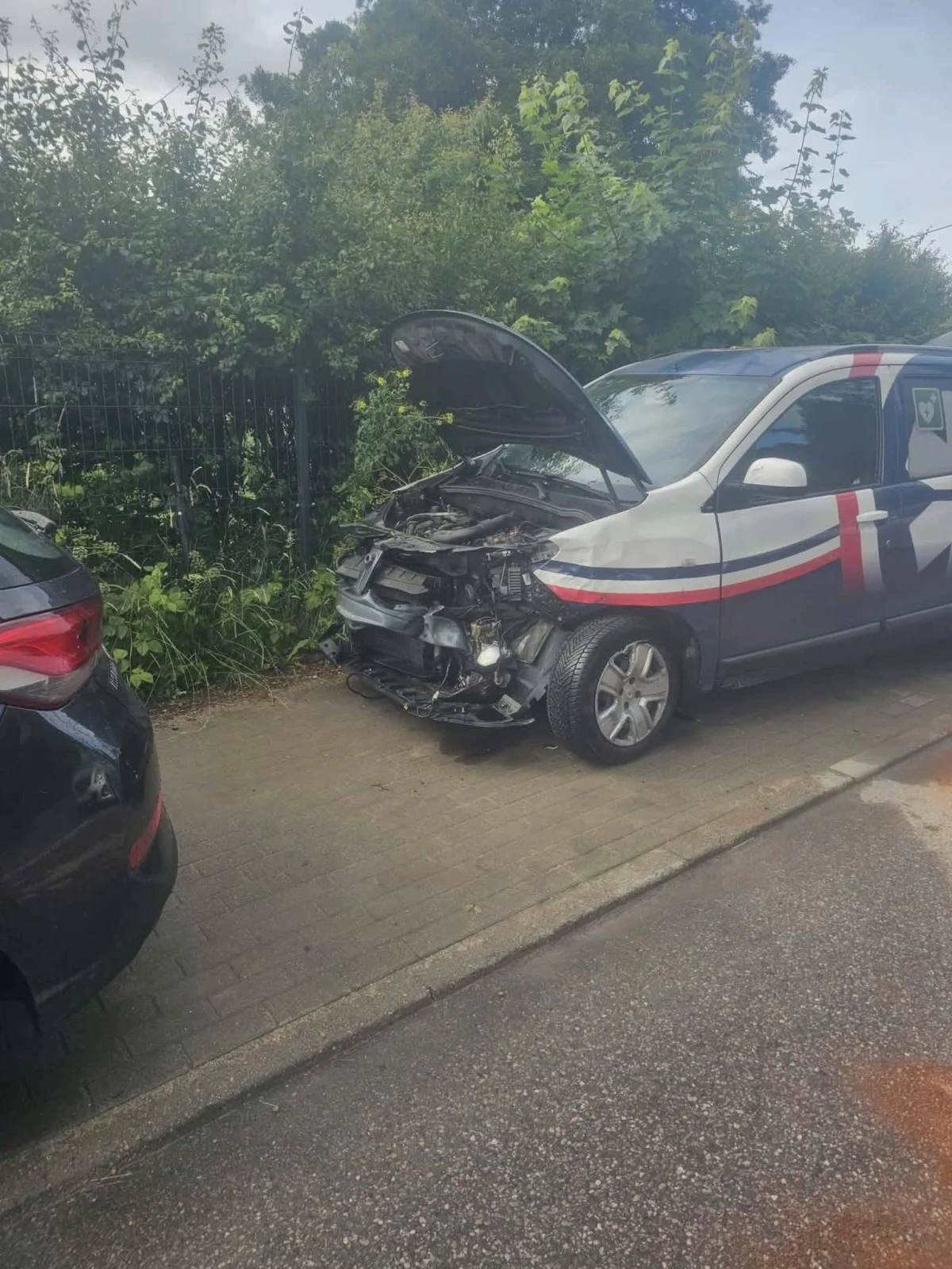 Zdjęcie