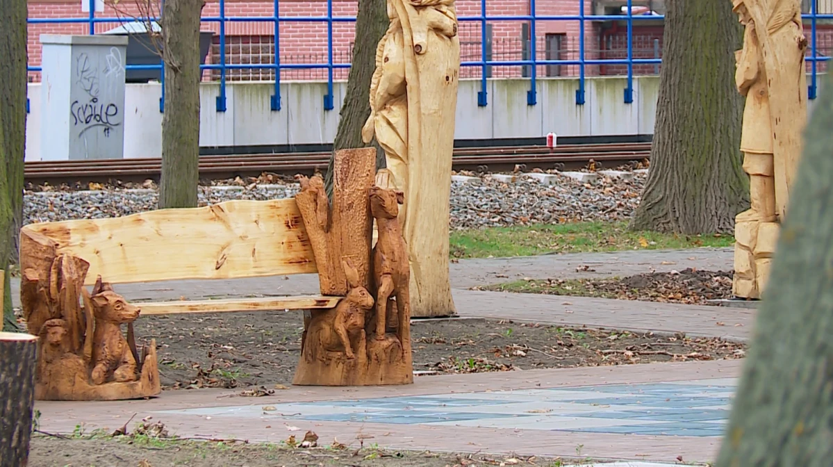 Zdjęcie