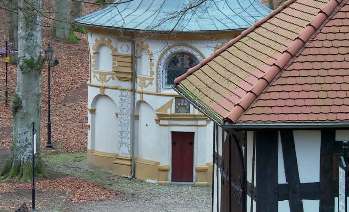 Zdjęcie