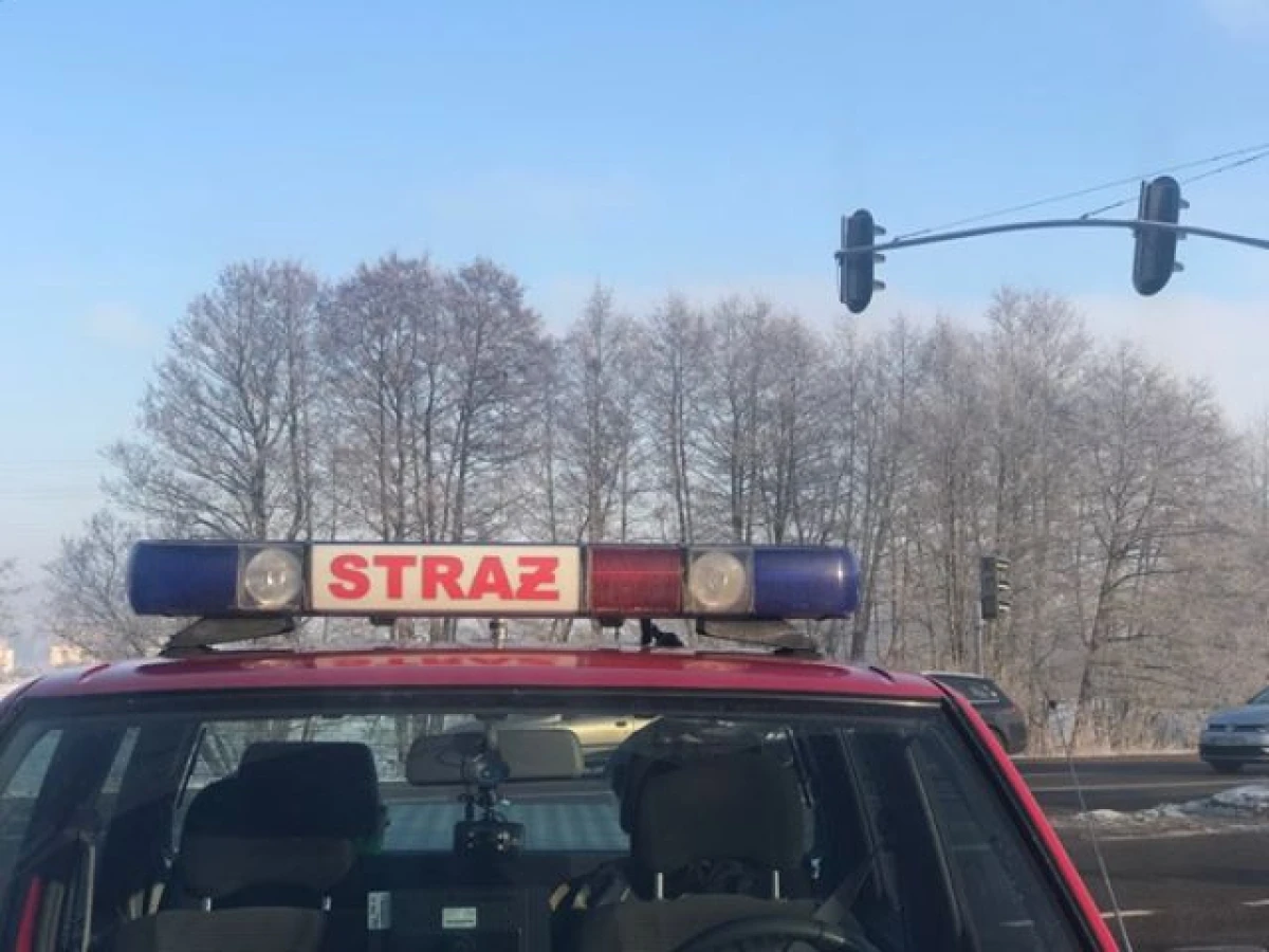 Zdjęcie