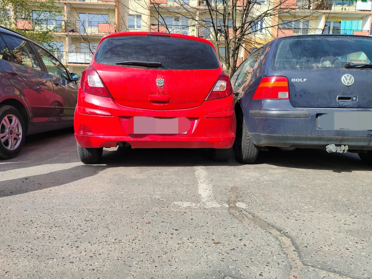 Zdjęcie