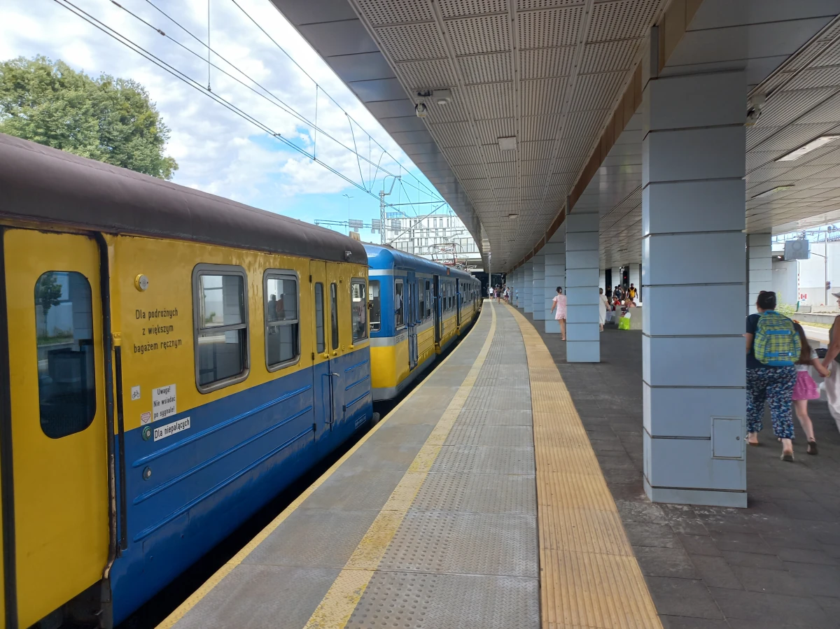 Zdjęcie
