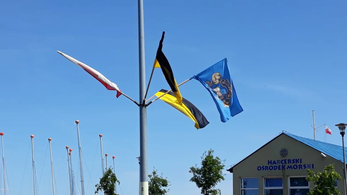 Zdjęcie