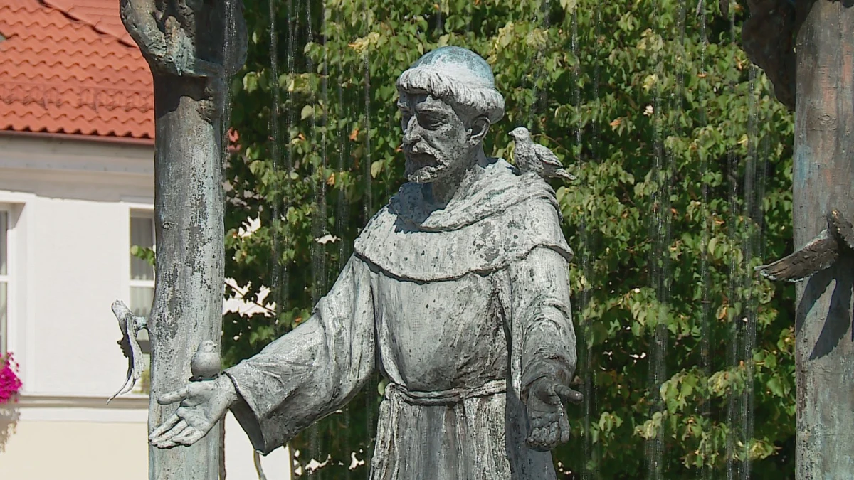 Zdjęcie