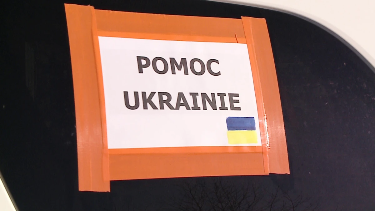 Zdjęcie