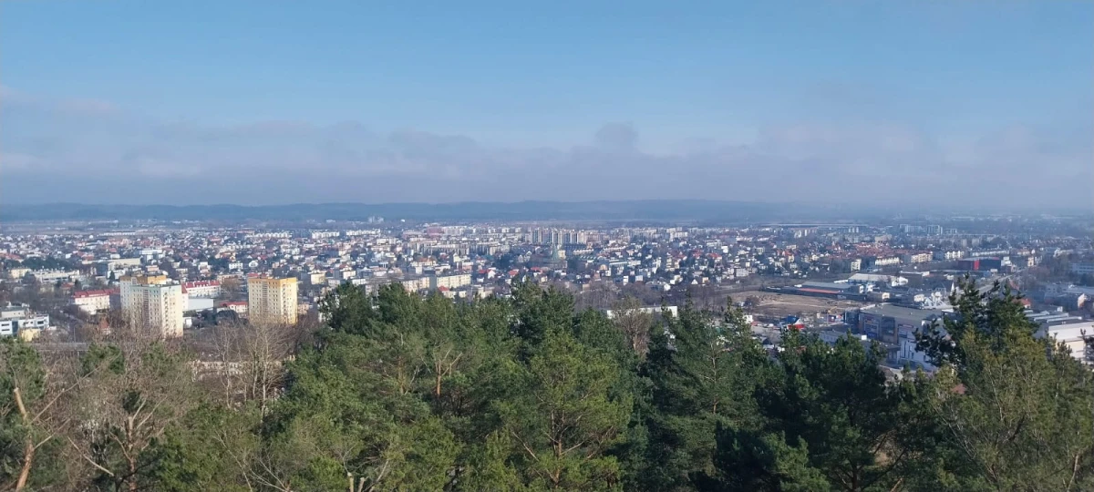 Zdjęcie