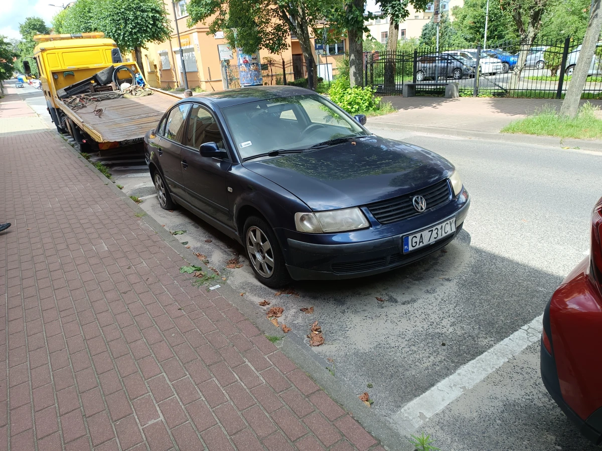 Zdjęcie