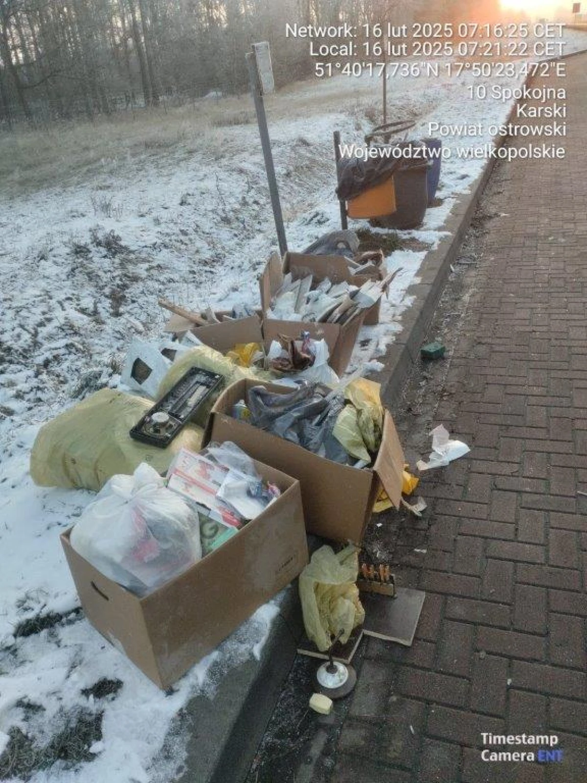 Zdjęcie
