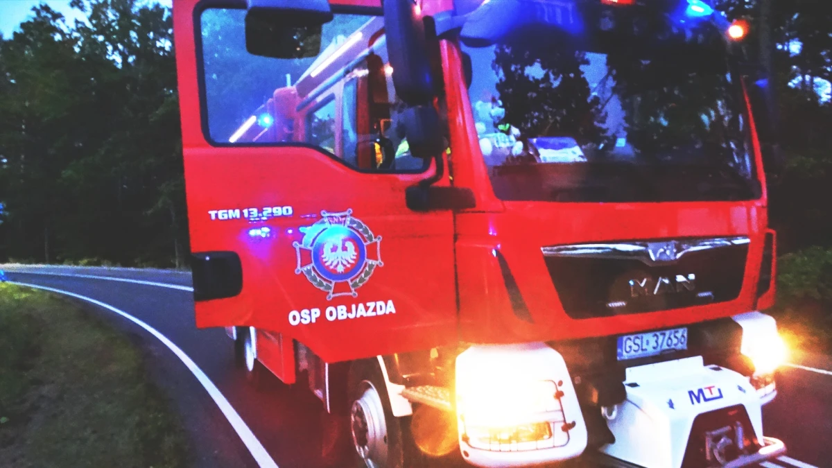 Zdjęcie