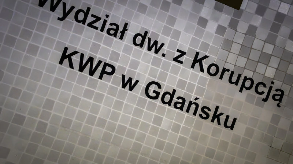 Zdjęcie
