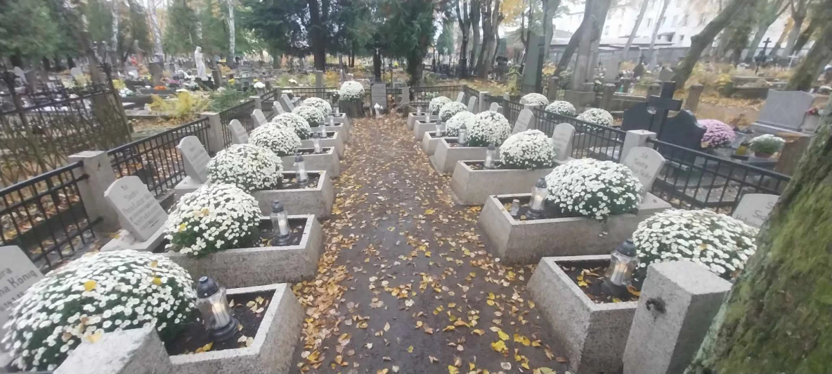 Zdjęcie