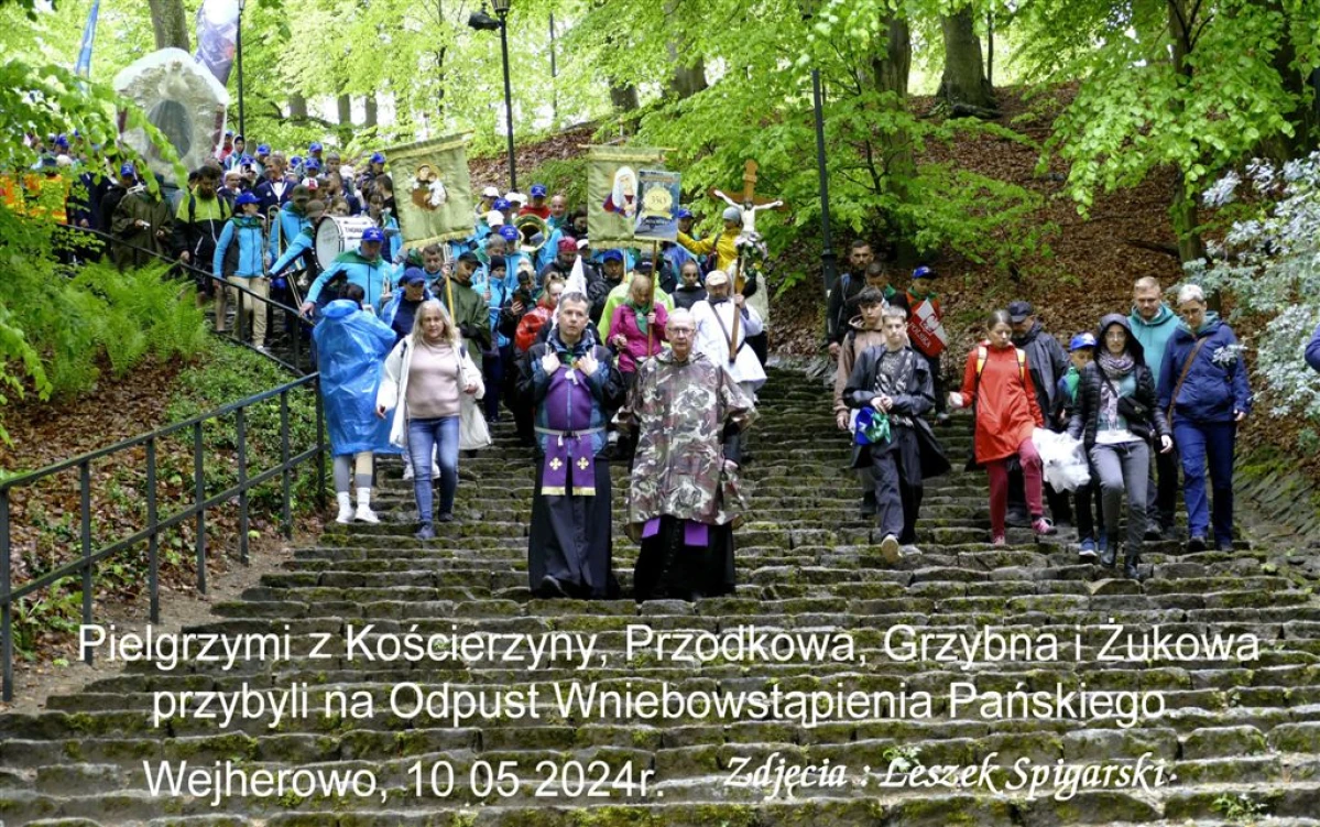 Zdjęcie