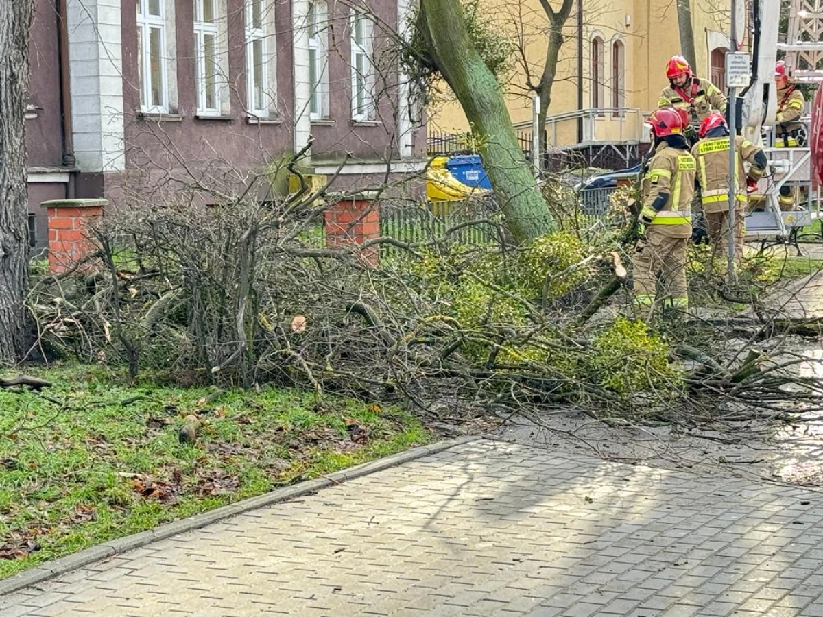 Zdjęcie