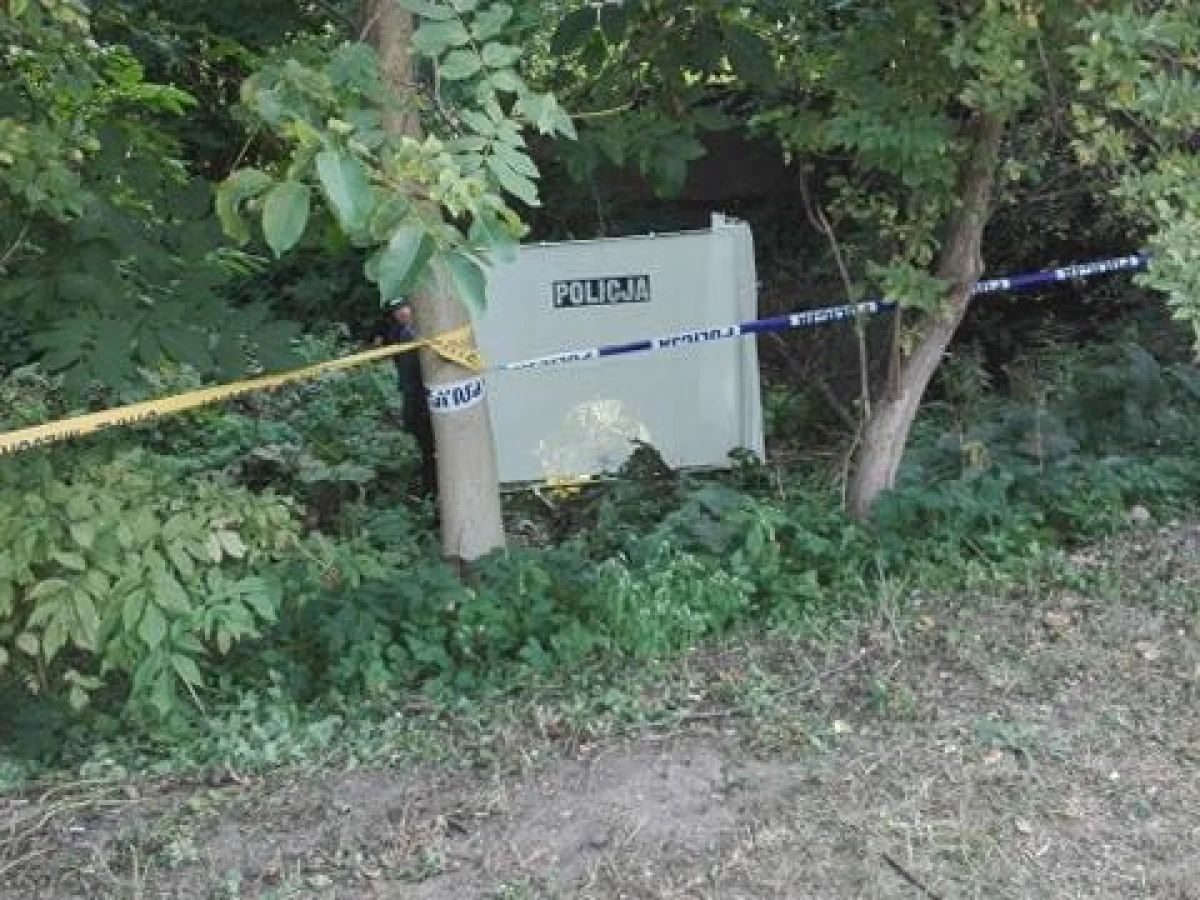 Zdjęcie