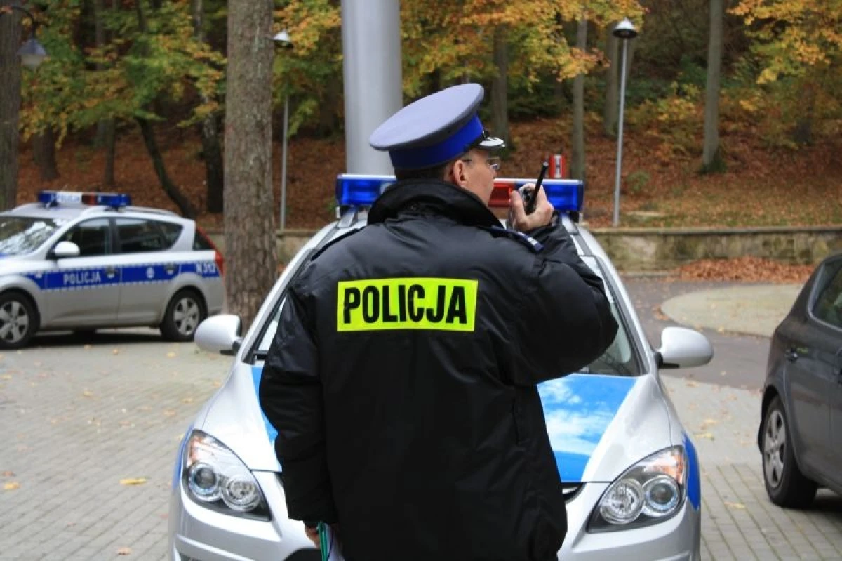 Zdjęcie