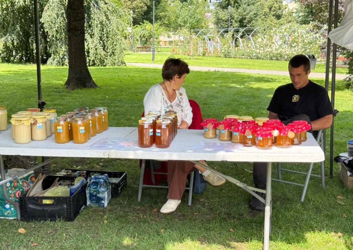 Zdjęcie