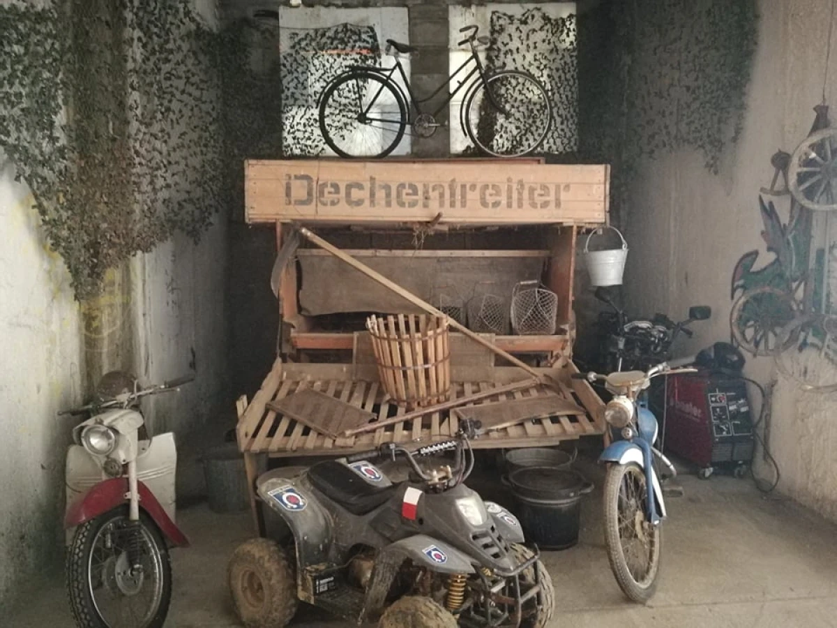 Zdjęcie