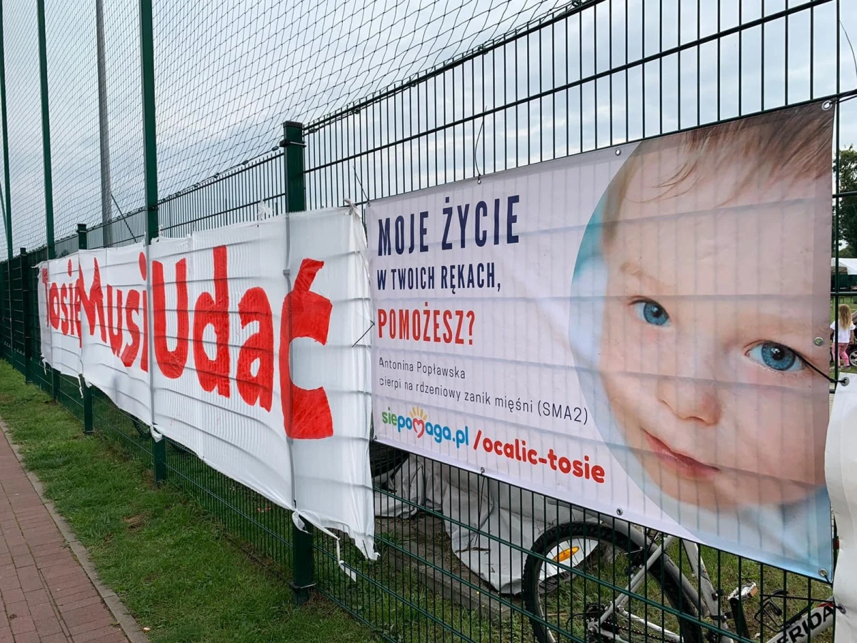Zdjęcie