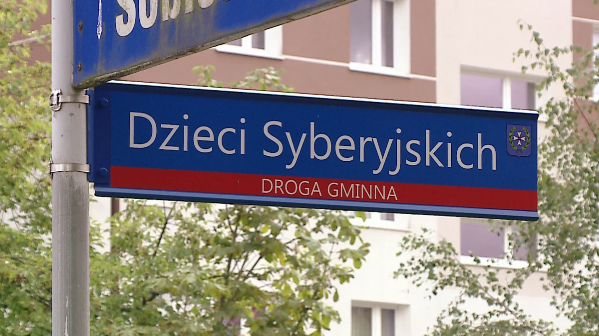 Zdjęcie