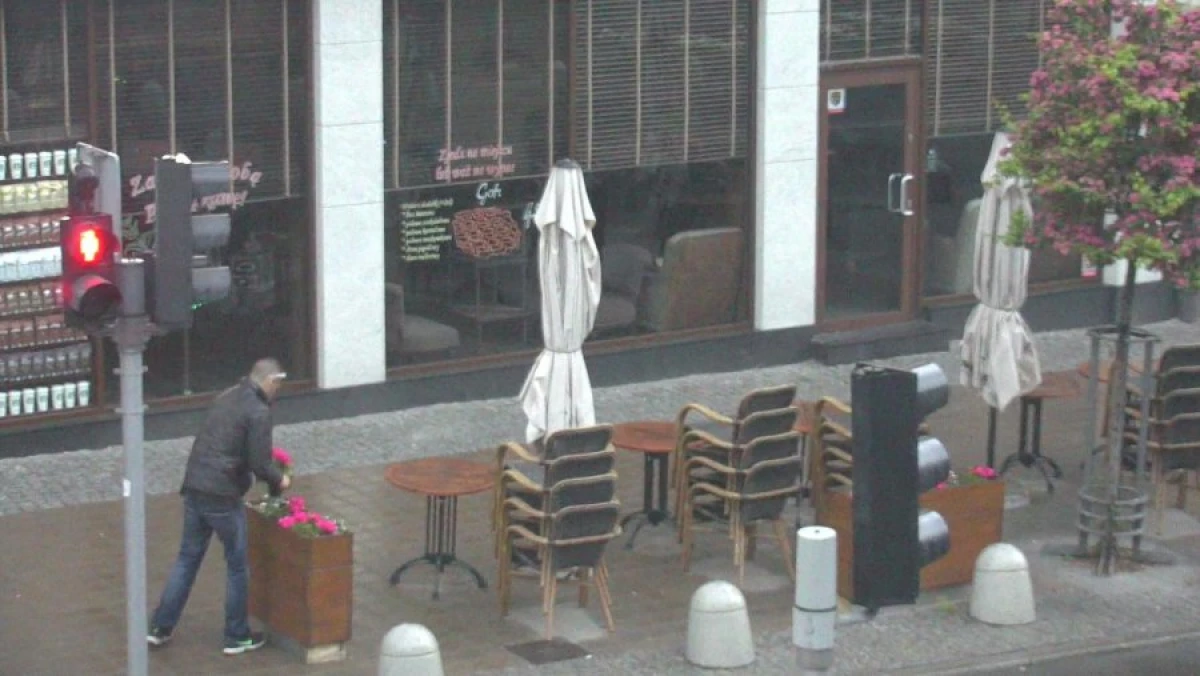 Zdjęcie