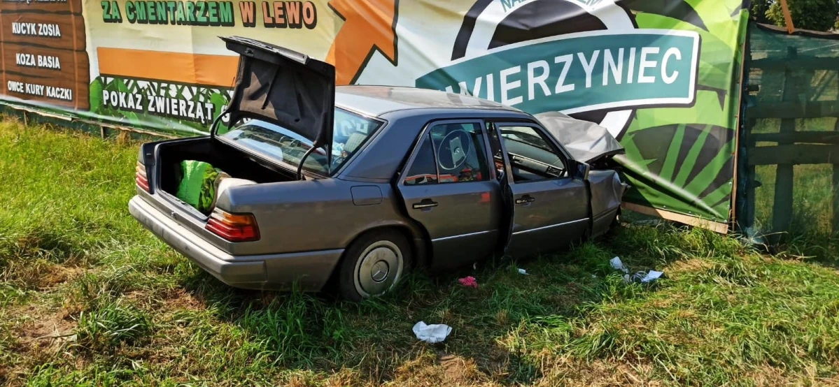 Zdjęcie