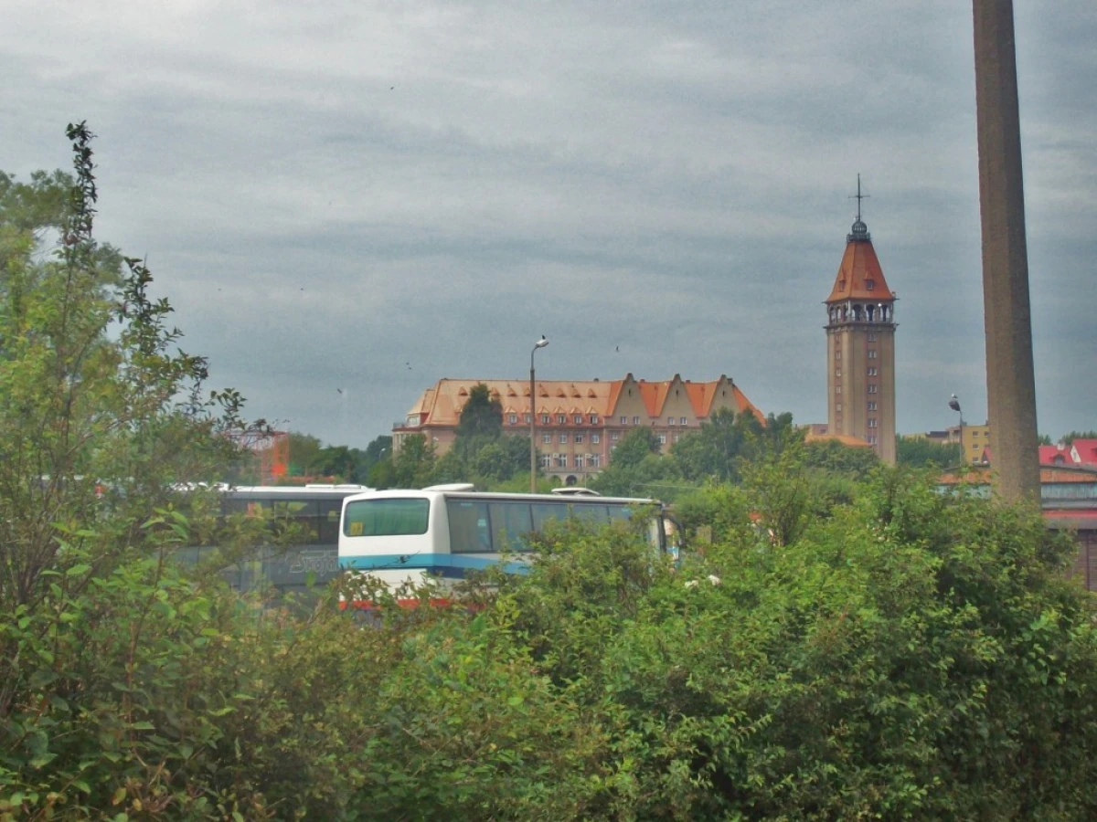 Zdjęcie
