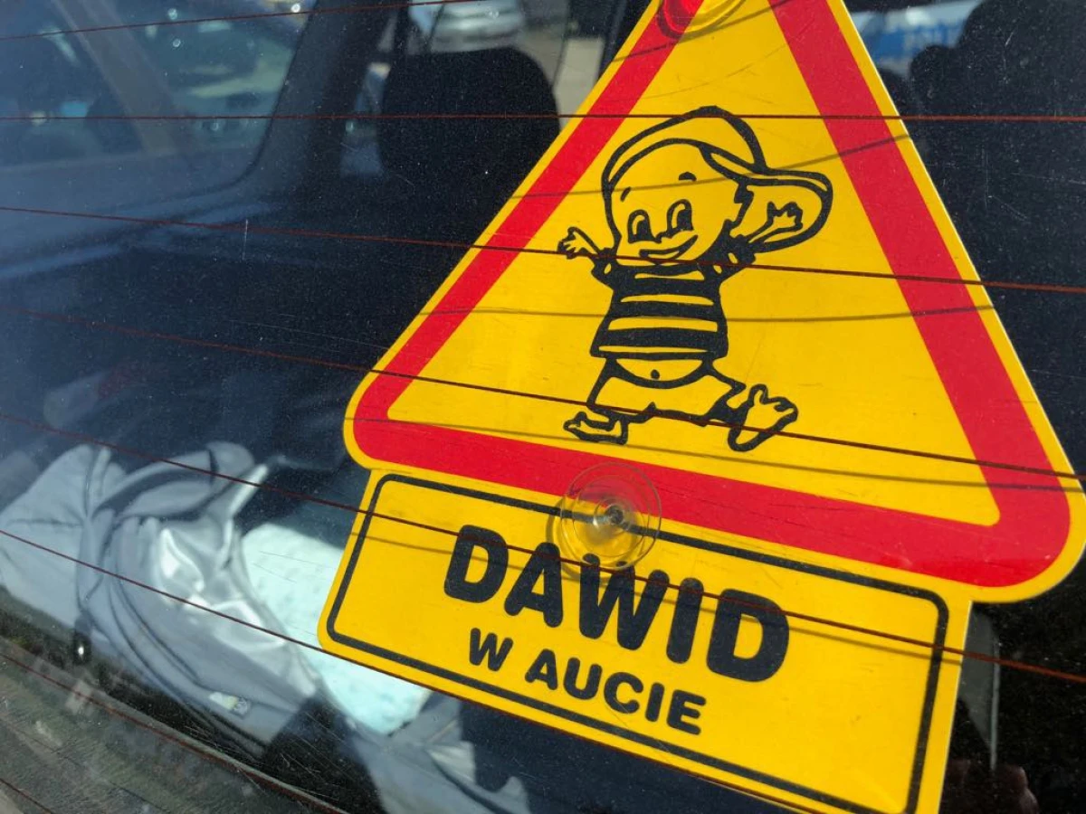 Zdjęcie