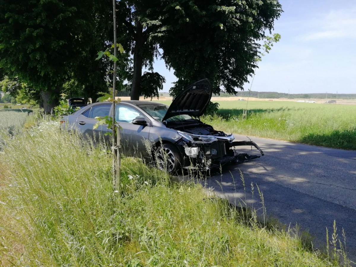 Zdjęcie