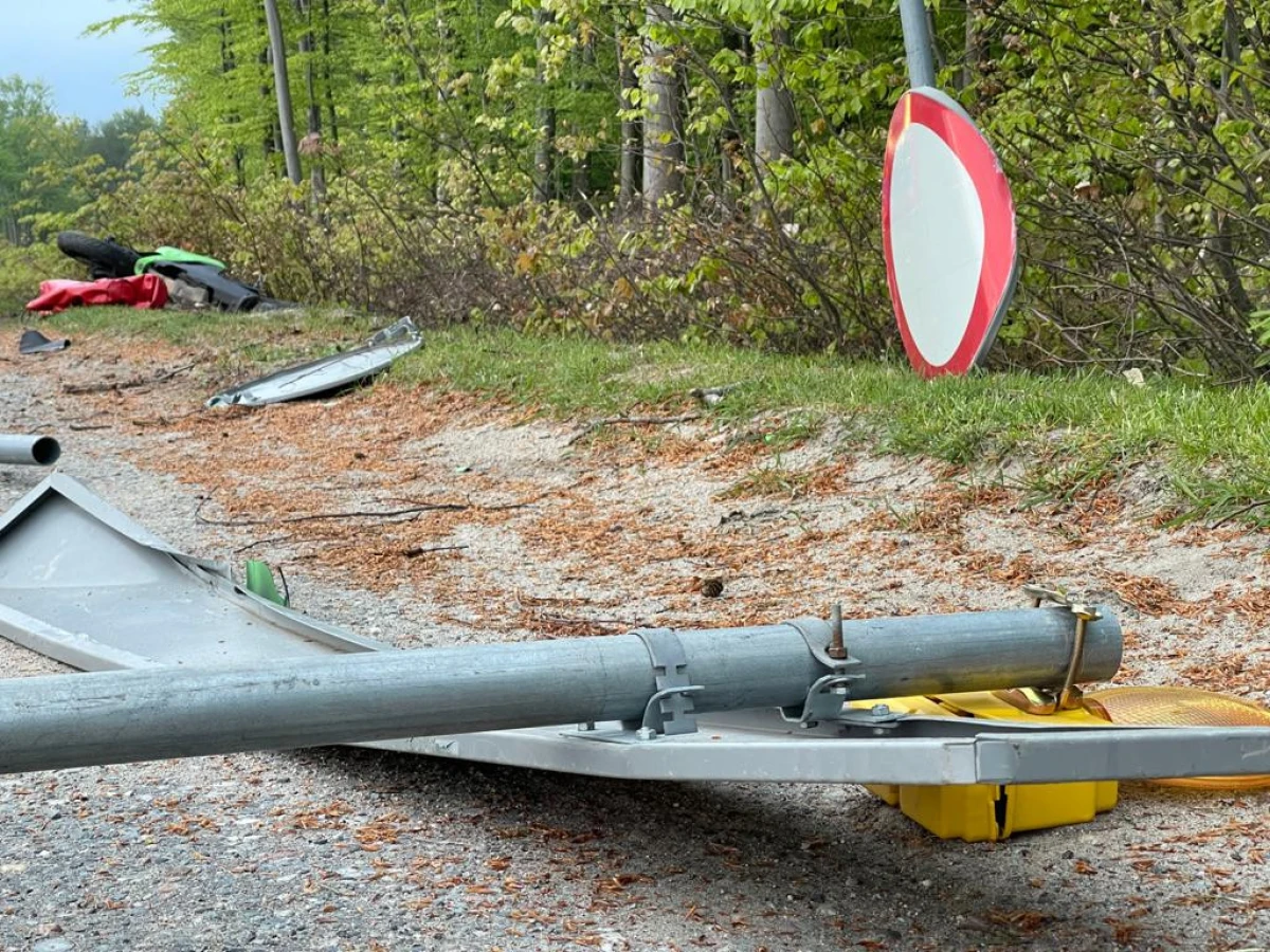 Zdjęcie
