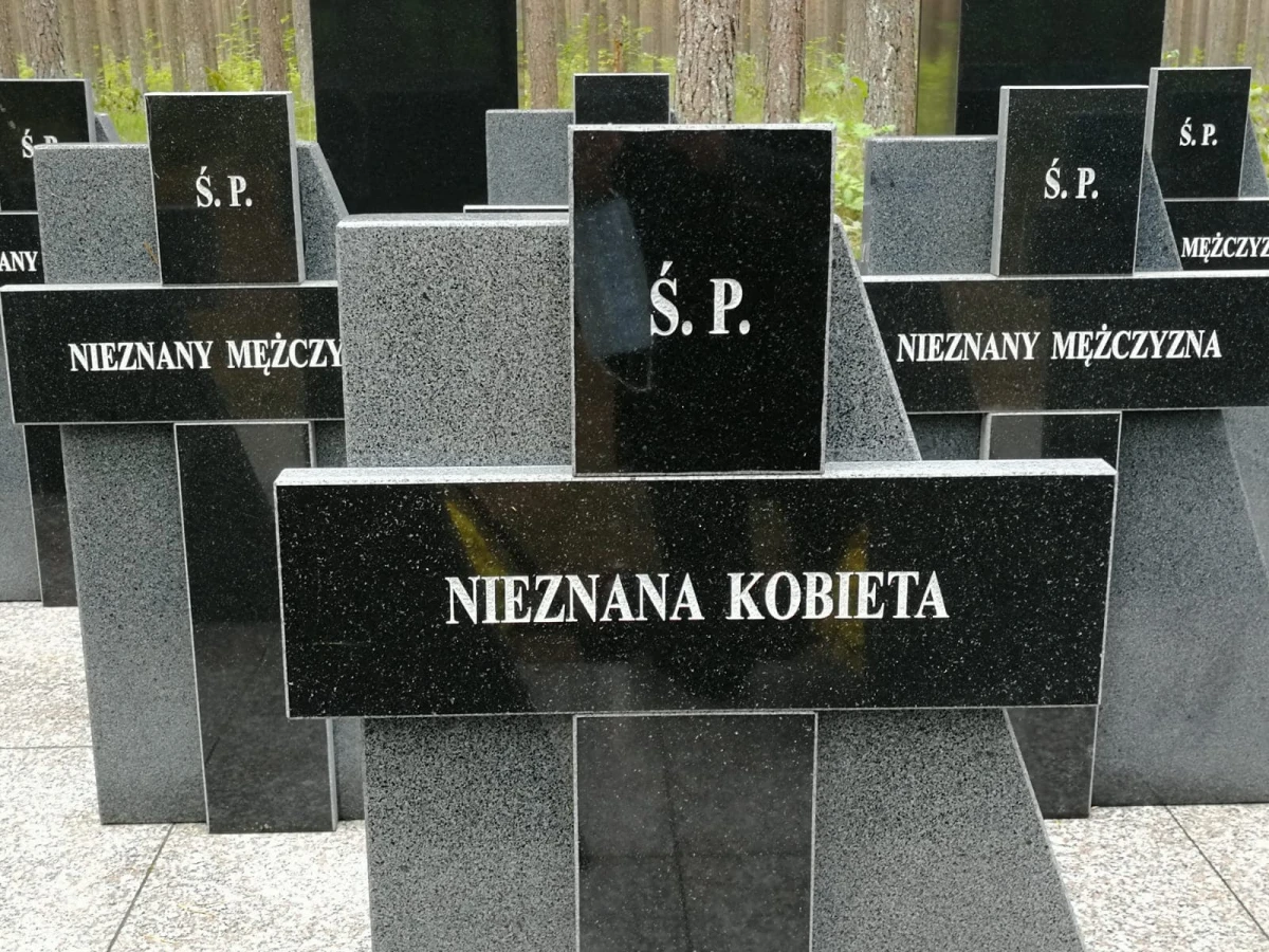 Zdjęcie