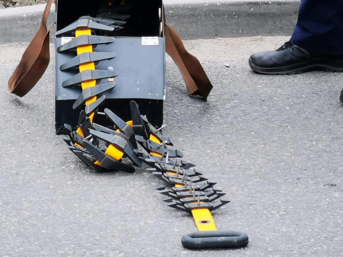 Zdjęcie