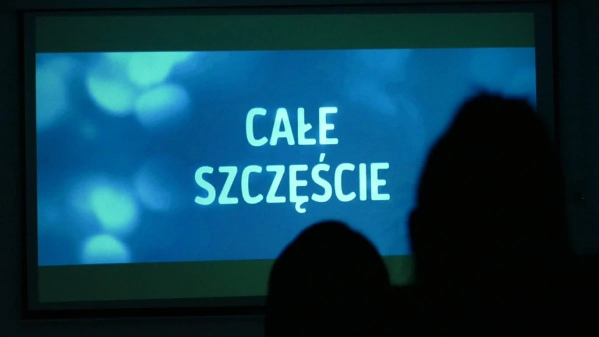 Zdjęcie