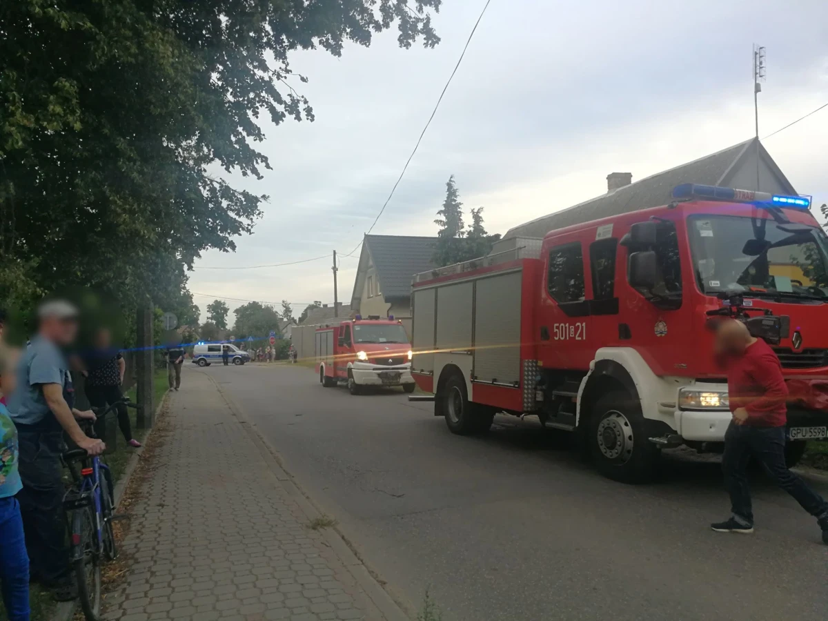 Zdjęcie