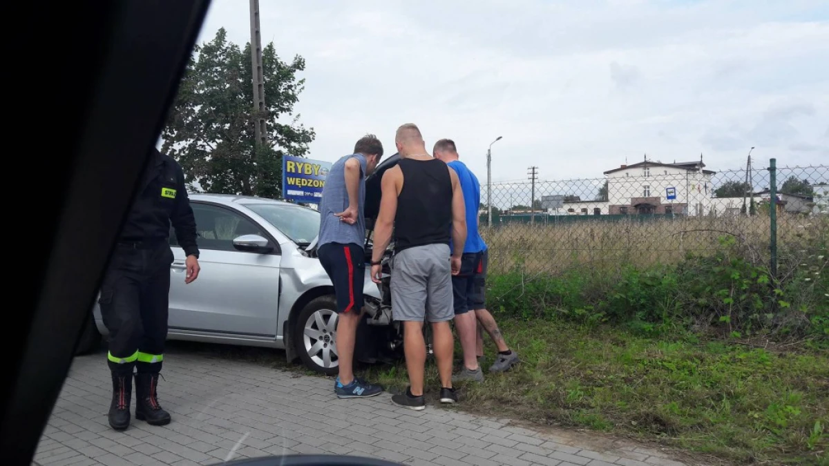 Zdjęcie