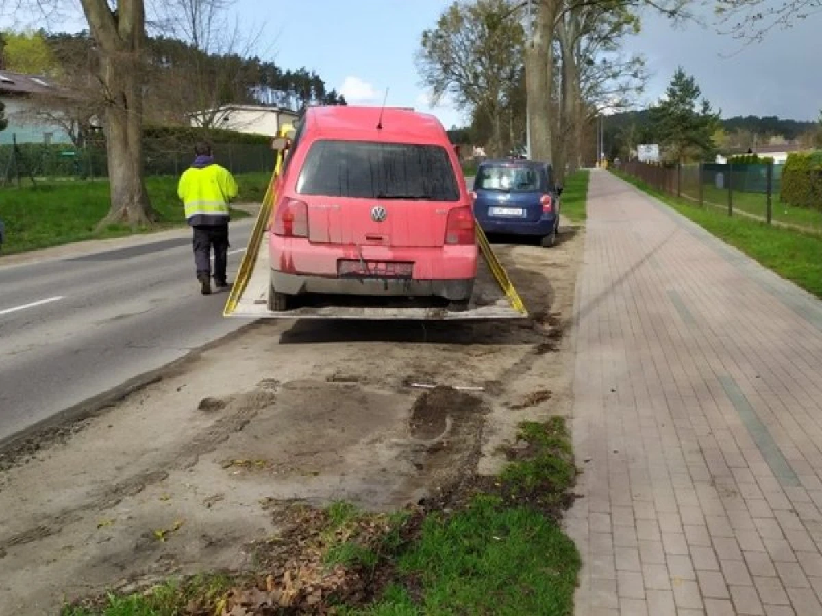 Zdjęcie