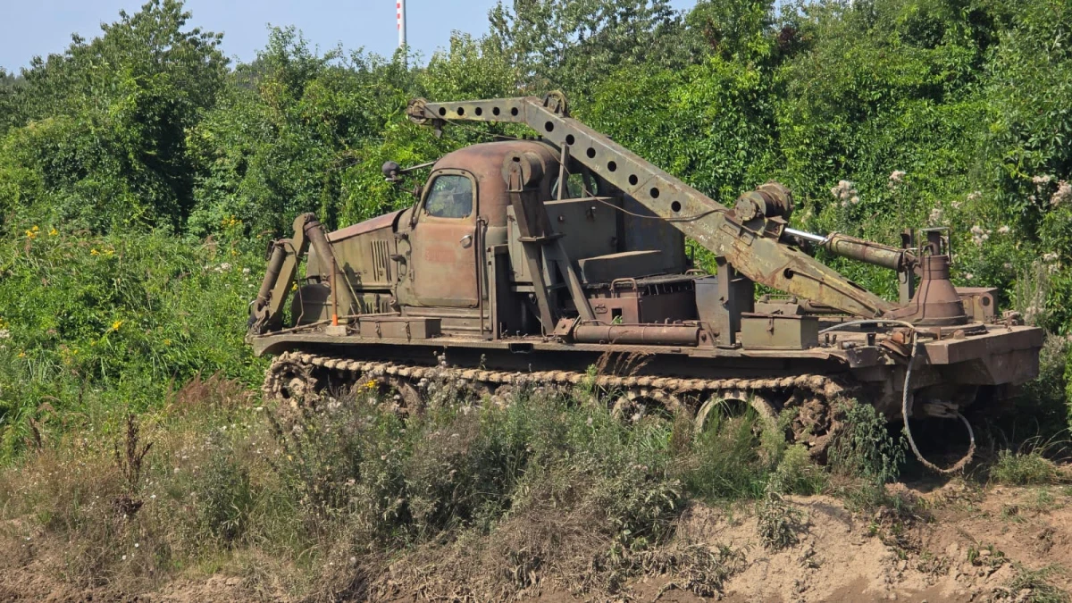 Zdjęcie