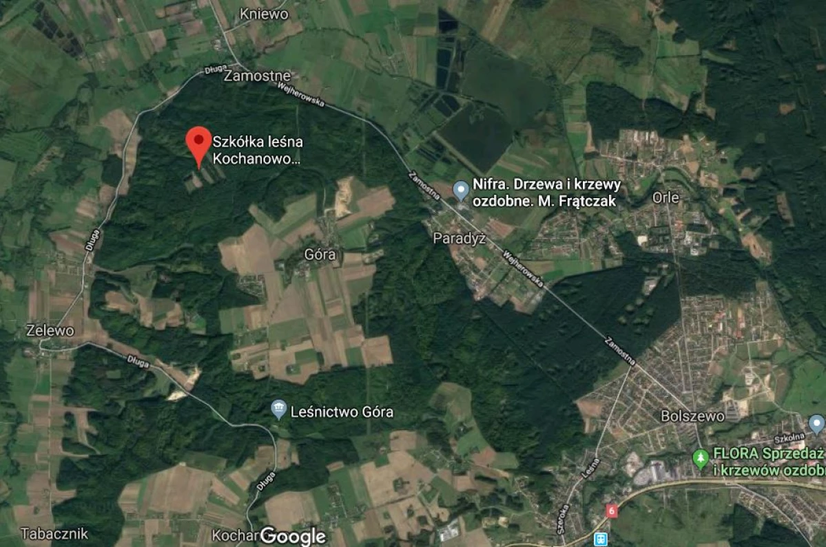 Zdjęcie