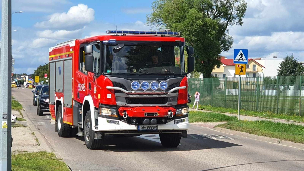 Zdjęcie