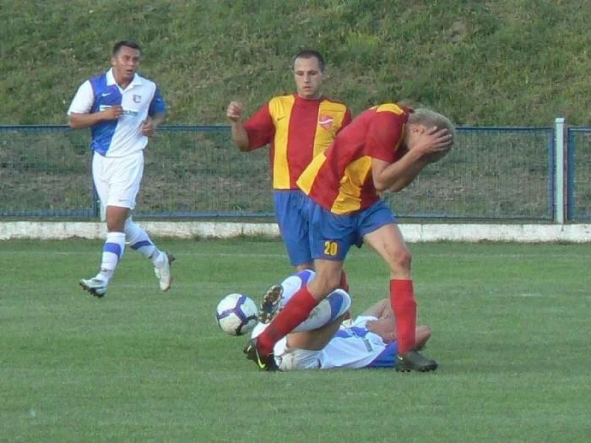 Zdjęcie