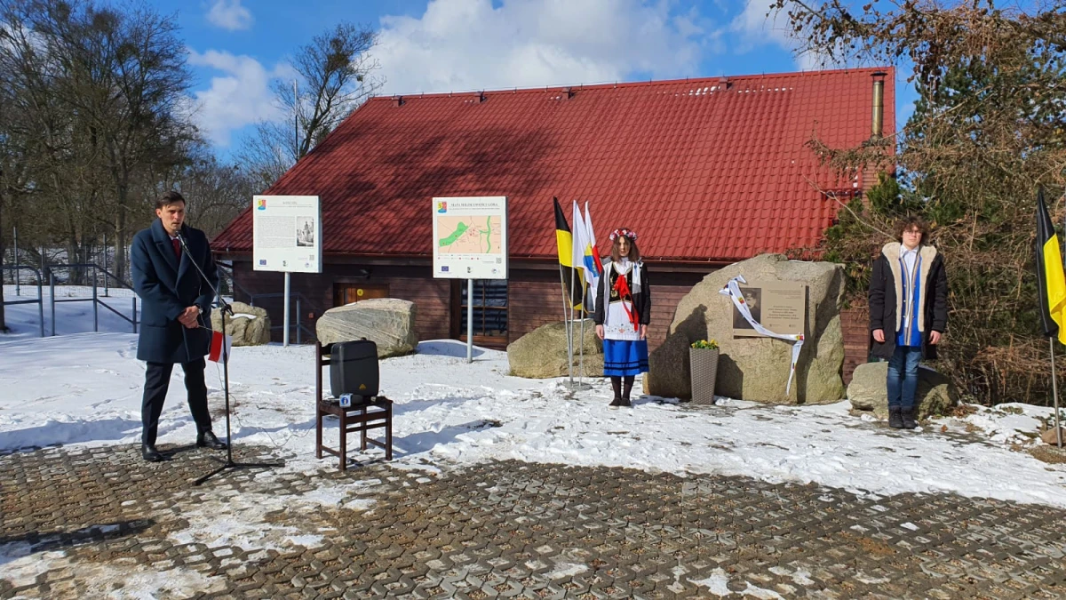 Zdjęcie