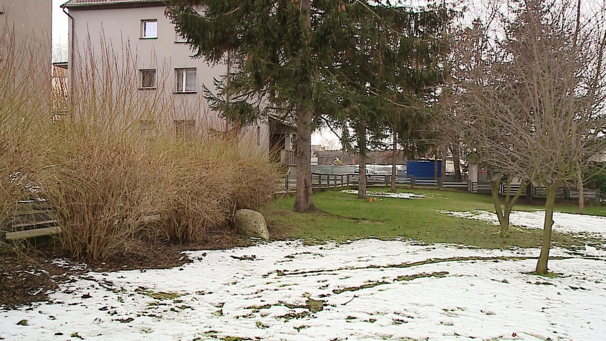 Zdjęcie