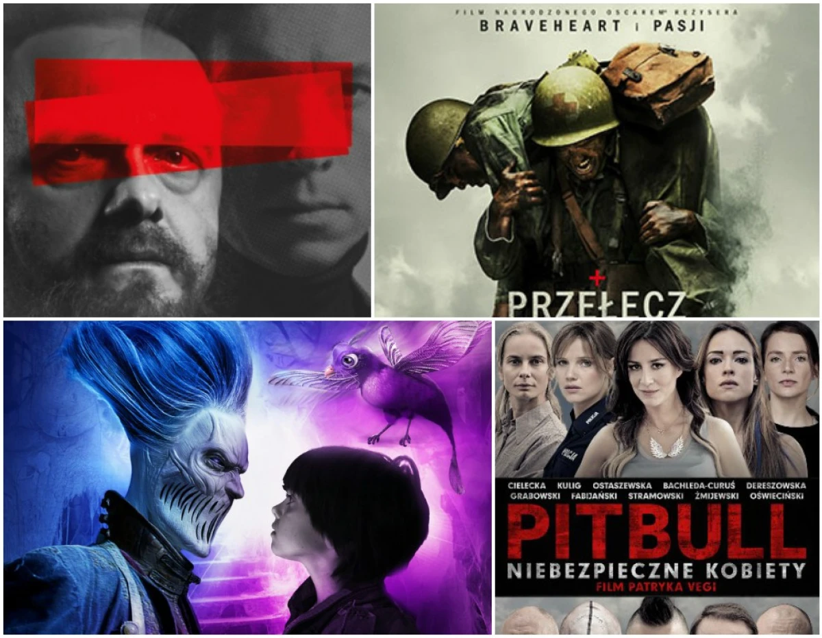 Zdjęcie