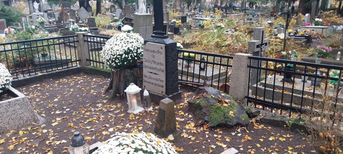 Zdjęcie