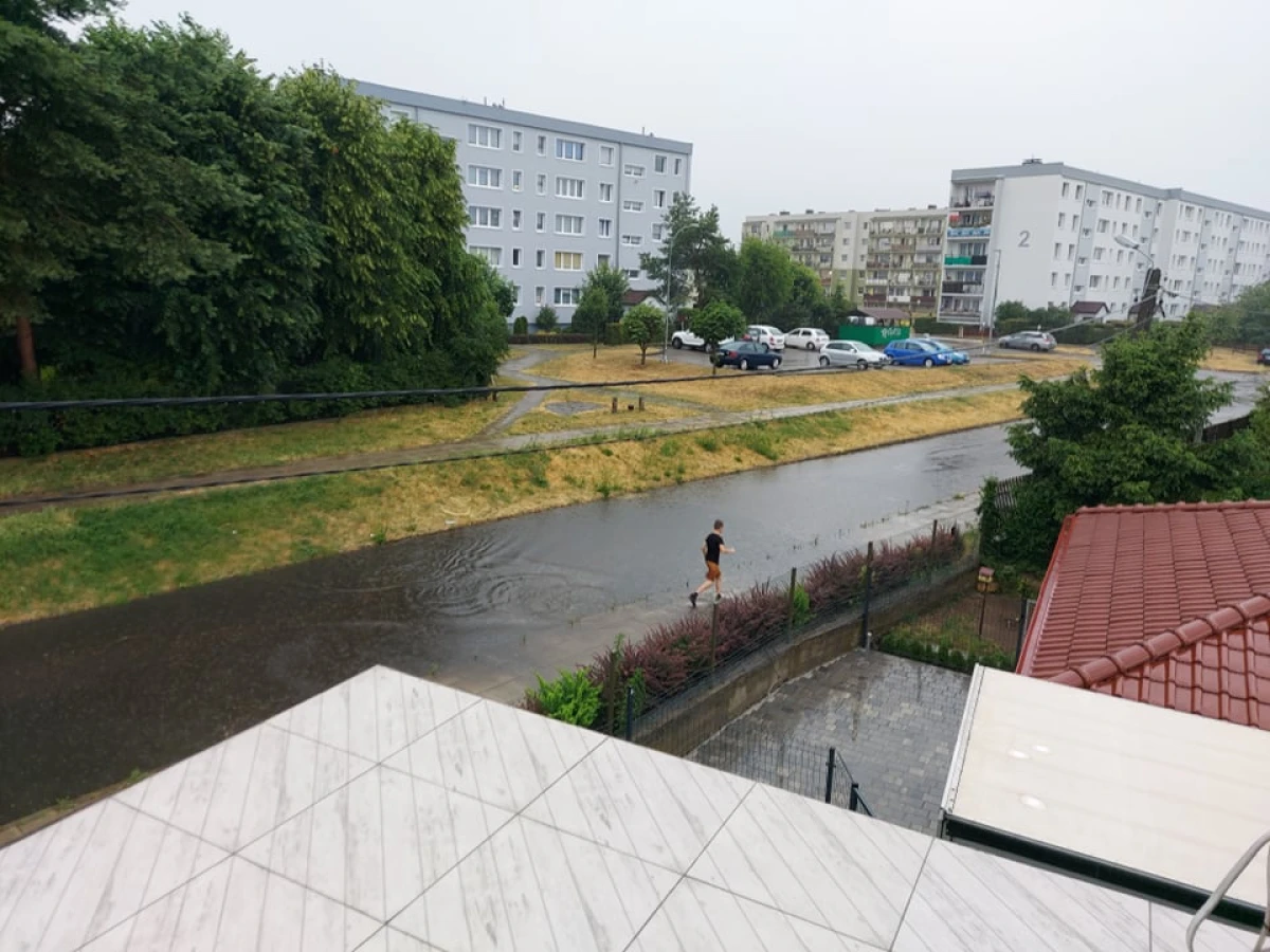 Zdjęcie
