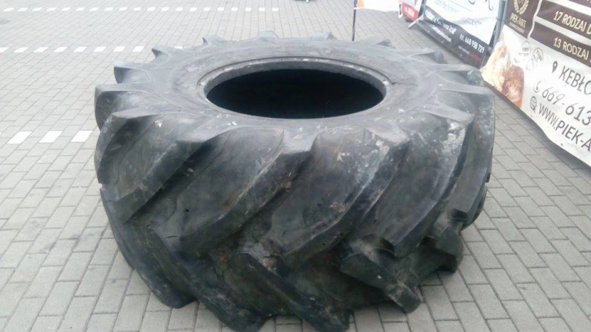 Zdjęcie