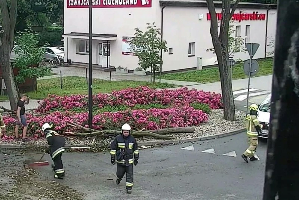 Zdjęcie