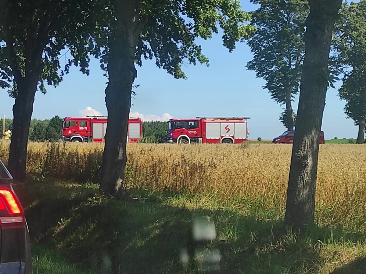 Zdjęcie
